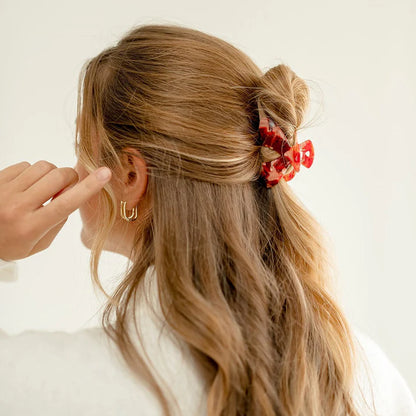 CLIPS - Julia clip